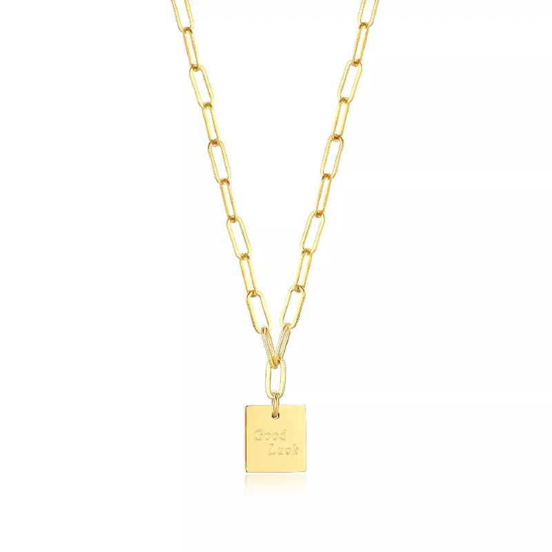personalized pet photo necklace Stainless Steel Neck w Good Luck Charm Gold Plated 18 Inches