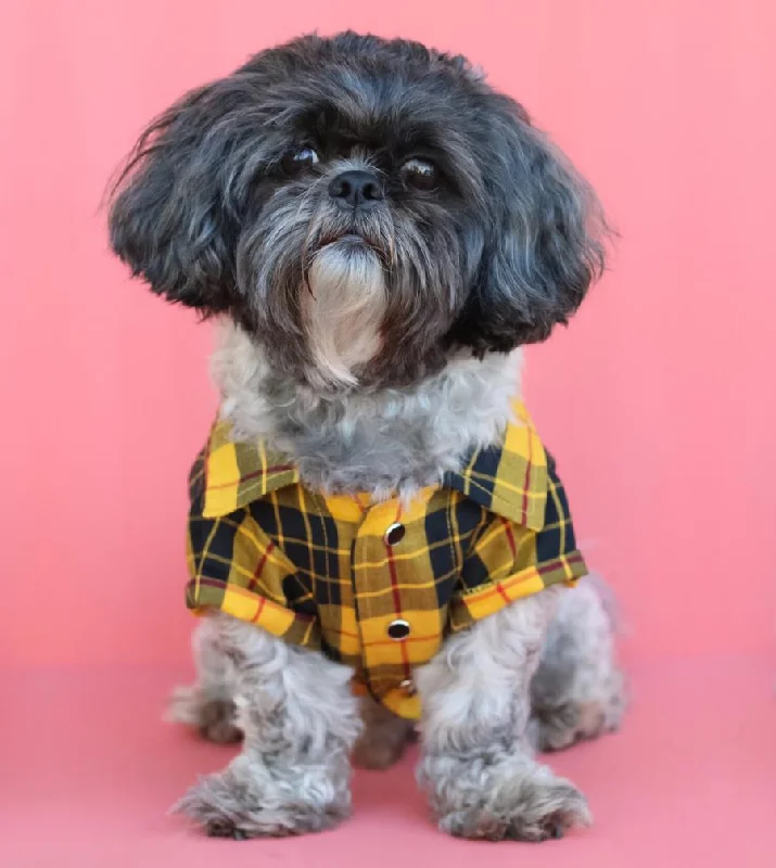 HM Madras Print Yellow and Brown - Shirts For Dogs & Cats