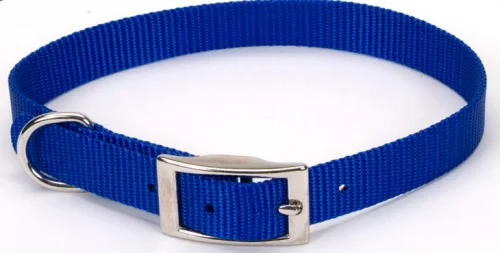 Coastal Pet Products Standard Nylon Small & Medium Dog Collar