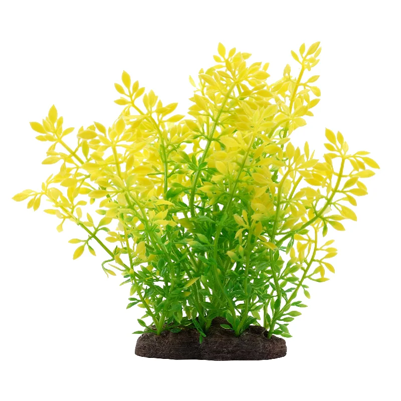 Fluval Plantscapes Sunrise Water Violet