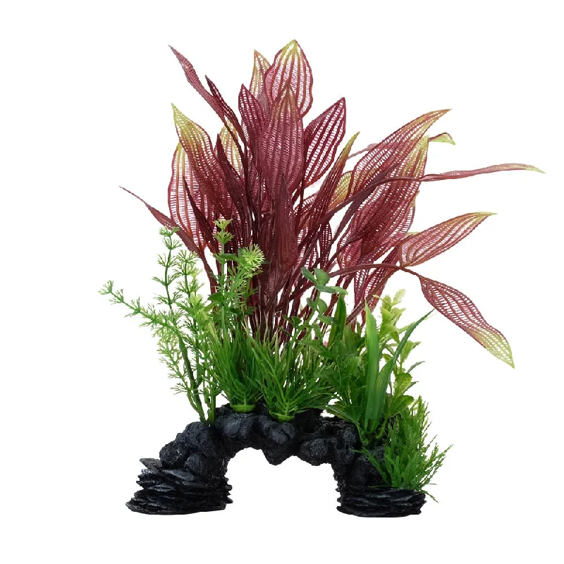 Fluval Red Lace Plant Mix 10in