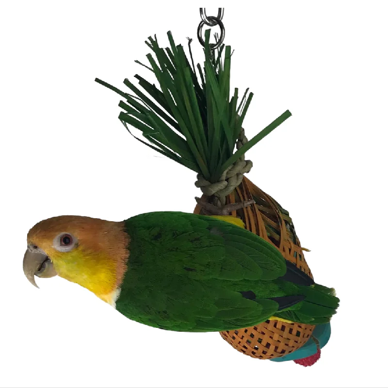 Ninos Java Pineapple foraging Toy for Birds Small