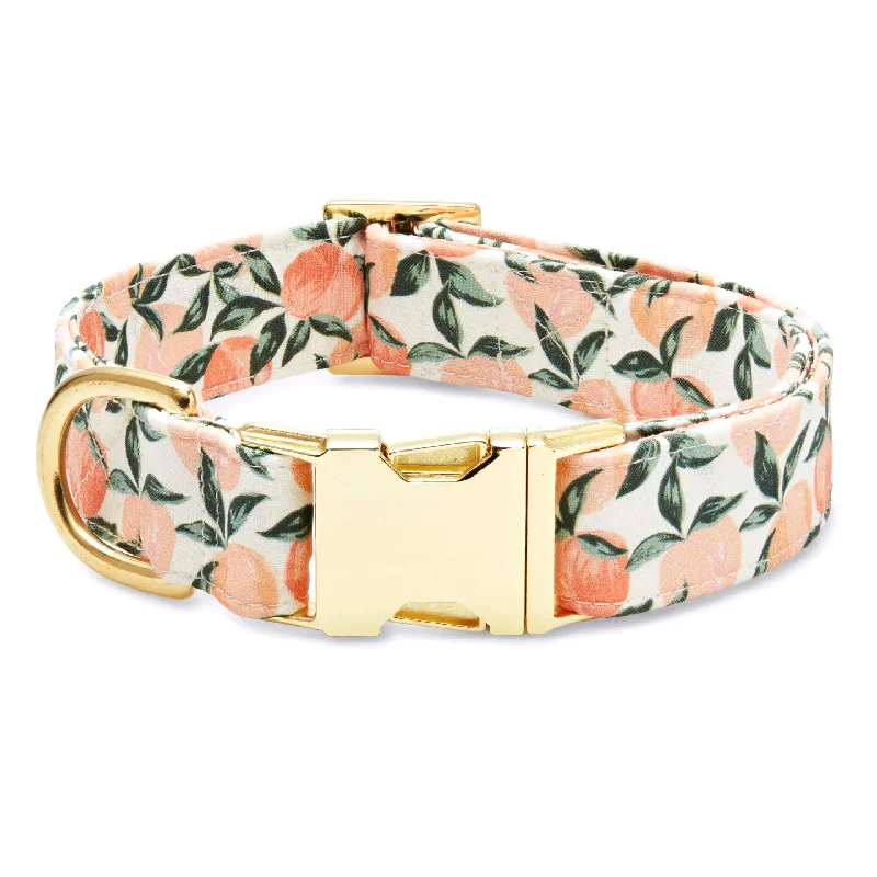 Peaches and Cream Dog Collar