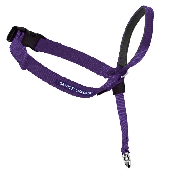 Petsafe Gentle Leader Quick Release Purple Headcollar for Dogs