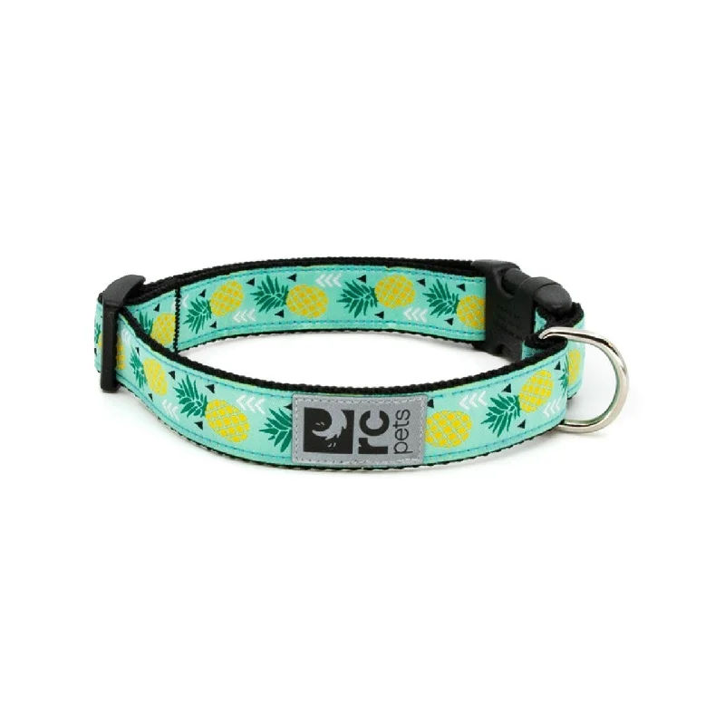 RC Pets Clip Collars Pineapple Parade