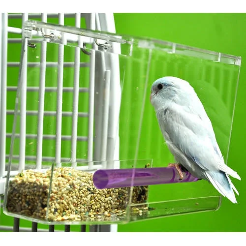 Small Tweeky Clean Tidy Bird Feeder On Sale!