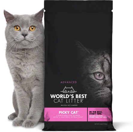 World's Best Picky Cat Clumping Formula Cat Litter