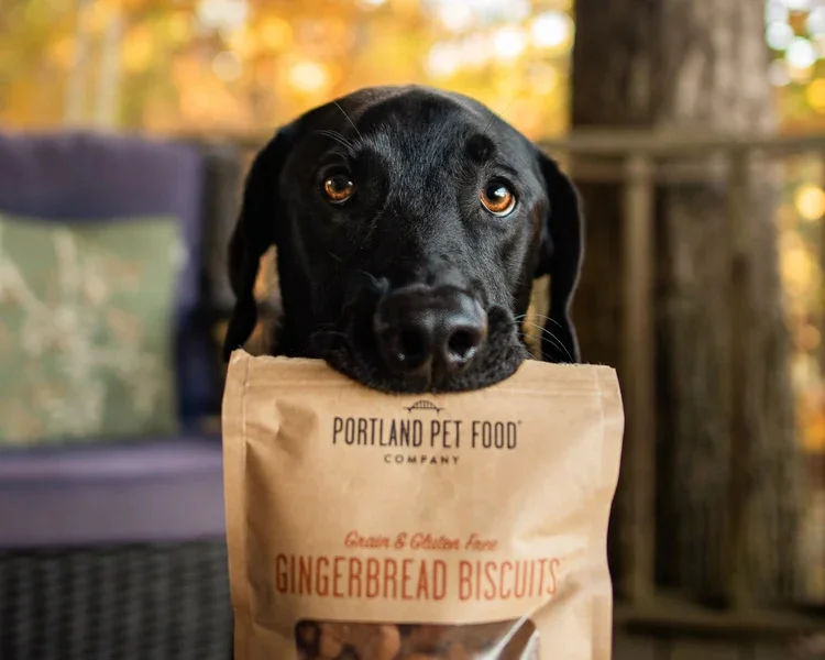 Premium Dog Food for Healthy, Happy Pets